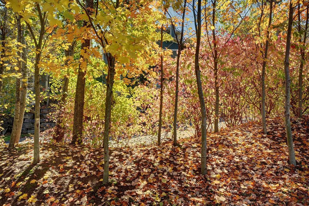 Jardin Du Village By Chez Tremblant Mont-Tremblant Værelse billede